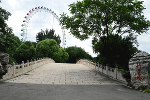 公园风景 