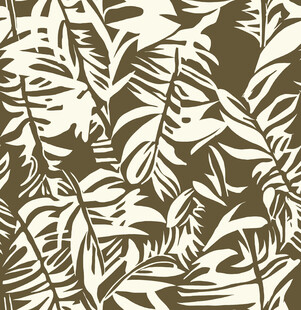 热带植物叶子图案纹理
