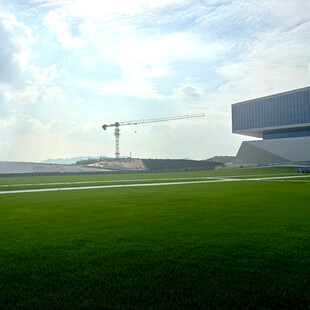 绿地旁的建筑施工场景