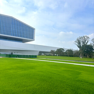 现代建筑旁的翠绿草坪