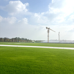 绿色草原上的风力发电景观