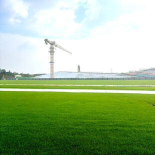 绿地上的高耸起重机