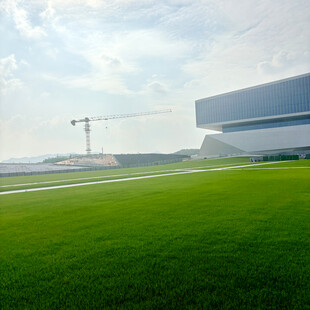 现代建筑旁的翠绿草坪