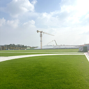 工地旁的翠绿草坪