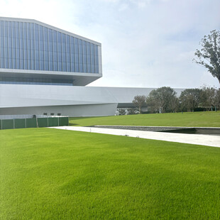 现代建筑旁的翠绿草坪