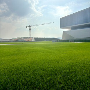 绿地旁的建筑施工场景