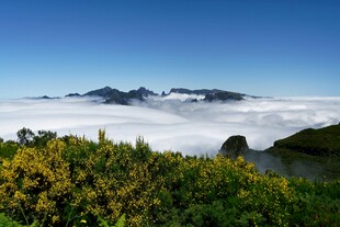 云海之上的山峦与绿植