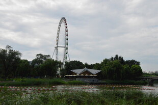 公园风景 