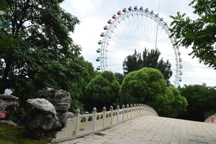 公园风景  