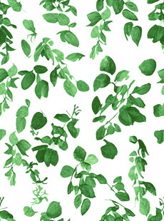 绿叶水彩底纹图案