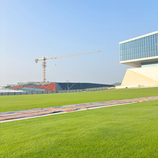 现代建筑旁的绿地与塔吊