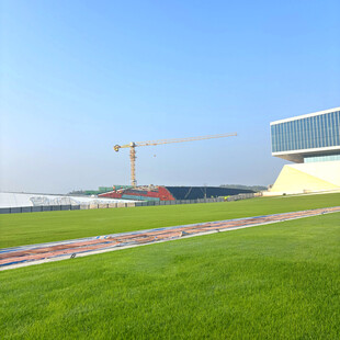 户外草地与远处建筑景观