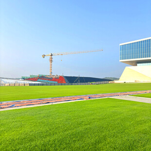 绿草如茵处的建筑施工场景