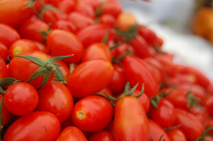 新鲜饱满的小番茄