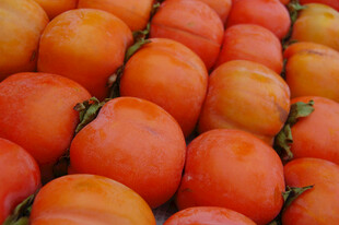 饱满柿子整齐排列