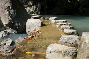 山间石径静美自然景致