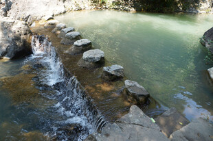 溪边踏脚石潺潺流水景
