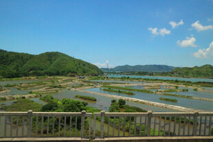 田园水乡风光美景