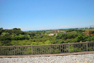 俯瞰葱郁植被与开阔远景