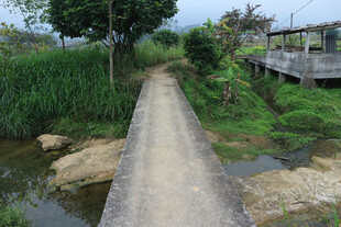 乡间狭长水泥小径景观