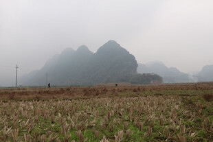 雾中田野与远山景色