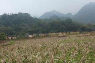 田野山峦间的乡村景致