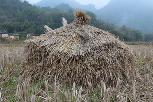 田野中的巨大干草堆