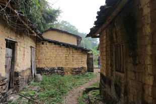 古朴乡村小巷岁月痕迹