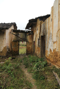 荒废老屋杂草丛生的景象