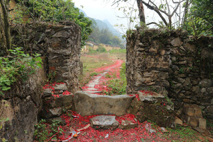 古径残红石墙间的诗意景致