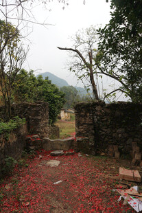 古径落花山林静谧之景