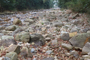 山间碎石遍布的溪流景观