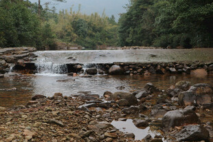 山间溪流石间潺潺水景