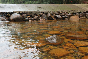 溪边圆润石头与清澈流水