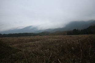 雾霭中的田野与远山