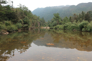 山间清澈小河绿意环绕