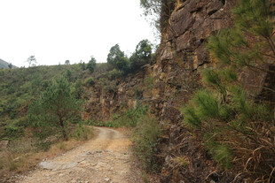 山间蜿蜒小路林木相伴