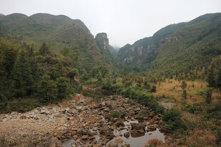山间溪流旁的自然景致