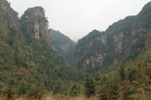 壮丽山峦间的葱郁景致