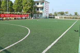校园绿色塑胶运动场