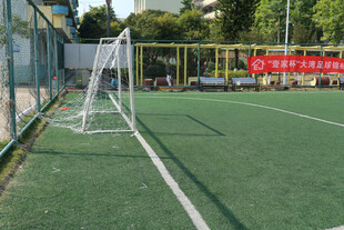 户外绿茵足球场与球门