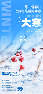 二十四节气大寒节气推广海报