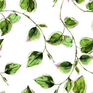 绿叶藤蔓水彩无缝图案