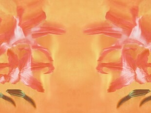 数码印花