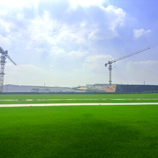 草原上的输电设施景观