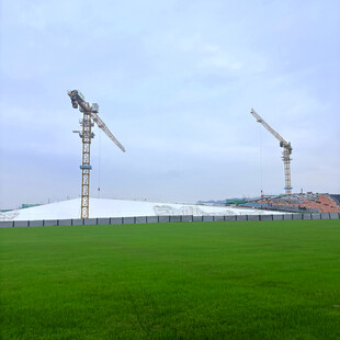 草地旁的塔式起重机