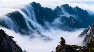 黄山云海中的壮美山峰