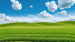 广袤绿野蓝天白云美景