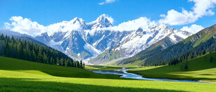 雪山下的翠绿草原风光