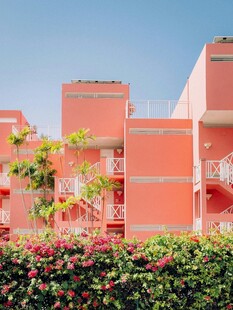 粉色建筑与烂漫花丛